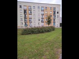 Photo n°1