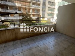 Photo n°8