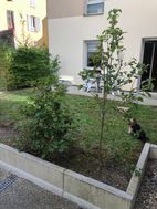 Photo n°6