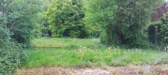 Photo n°3