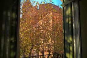 Photo n°5