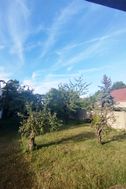 Photo n°6
