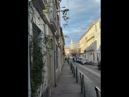 Photo n°7