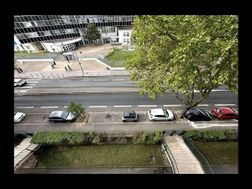 Photo n°7