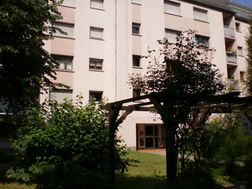 Photo n°1