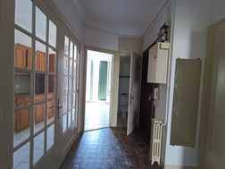 Photo n°6