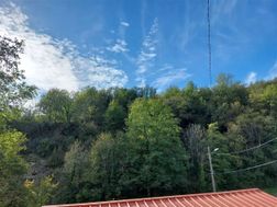 Photo n°3