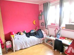 Photo n°4