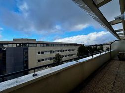 Photo n°6
