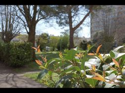 Photo n°14