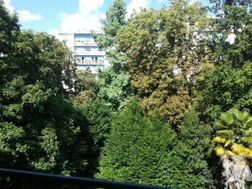 Photo n°5