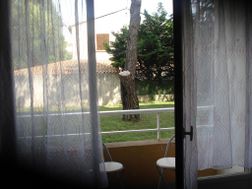 Photo n°4