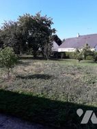 Photo n°6