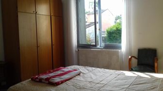 Photo n°6