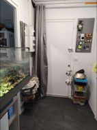 Photo n°3