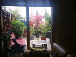 Photo n°1