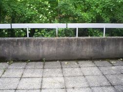 Photo n°2