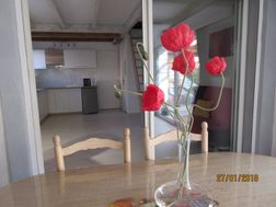 Photo n°5