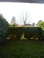 Photo n°4