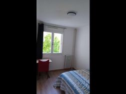 Photo n°4