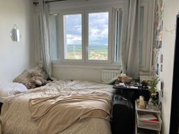 Photo n°6