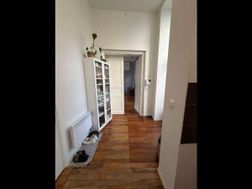Photo n°6