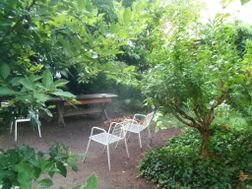 Photo n°4