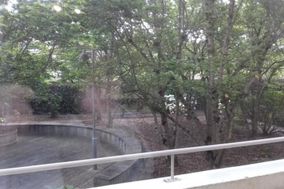 Photo n°3