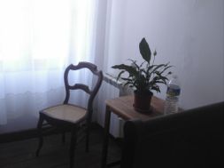 Photo n°1