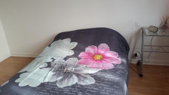 Photo n°2