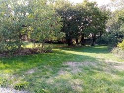 Photo n°6