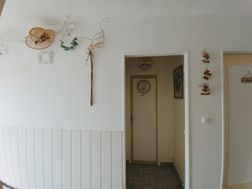 Photo n°7