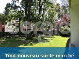 Photo n°2