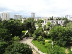Photo n°5