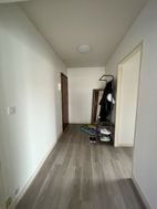 Photo n°6