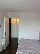 Photo n°6