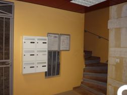 Photo n°6