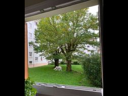 Photo n°4