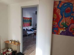 Photo n°4