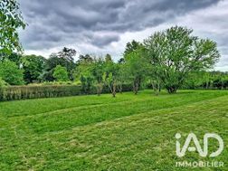 Photo n°6