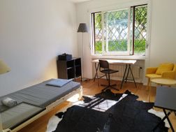 Photo n°4