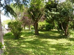 Photo n°2