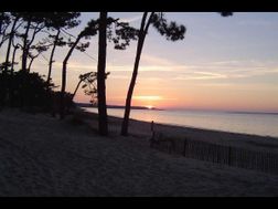 Photo n°1