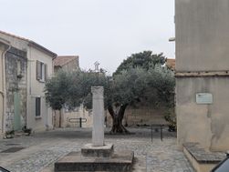 Photo n°6
