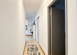 Photo n°6