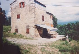Photo n°6