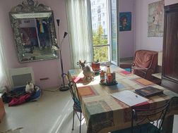 Photo n°16
