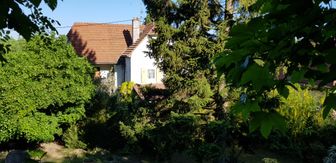 Photo n°1