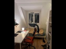 Photo n°1