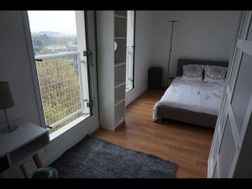 Photo n°3
